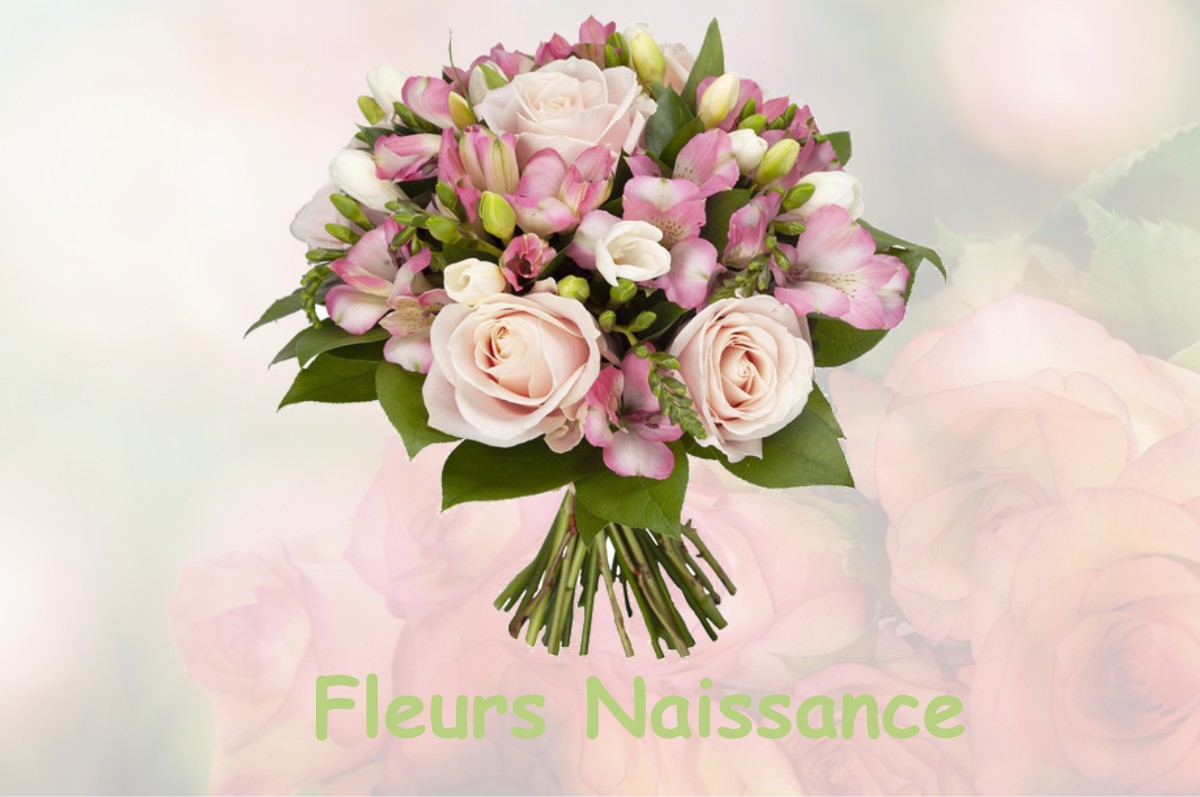fleurs naissance SAINT-PIERRE-DE-COLE
